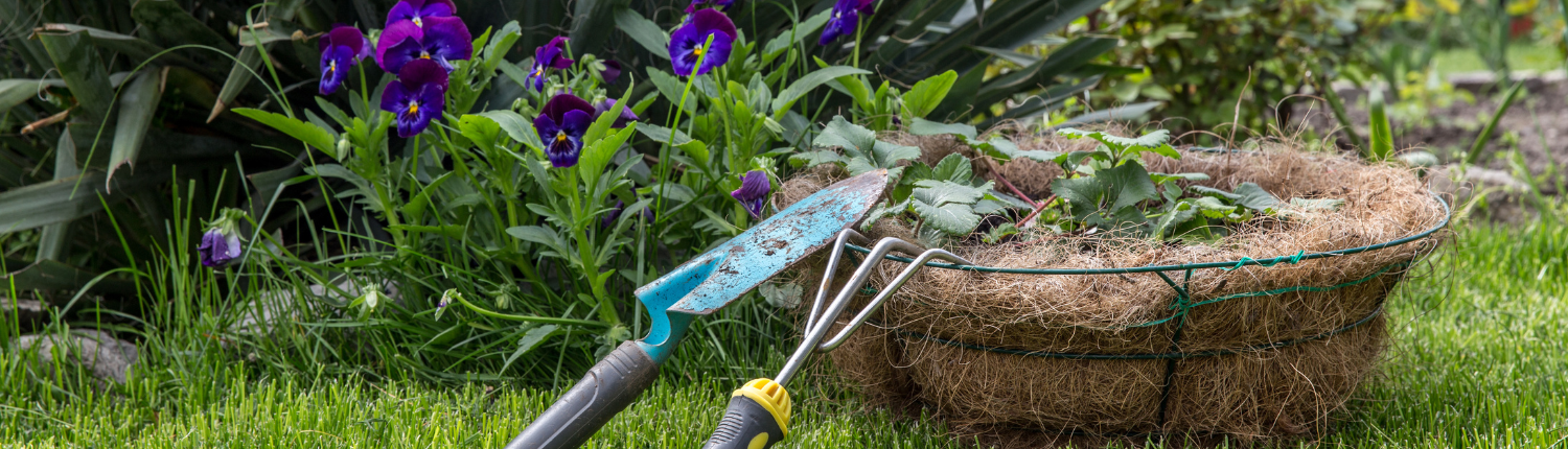 Tratamientos fitosanitarios en Madrid | FFR Jardinería