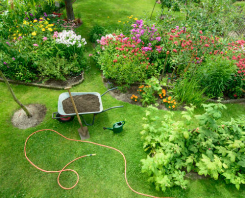 Jardinería en general en Madrid | FFR Jardinería