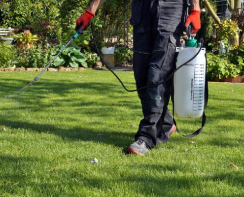 Tratamientos fitosanitarios en Madrid | FFR Jardinería
