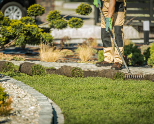 Instalación de césped en Madrid | FFR Jardinería