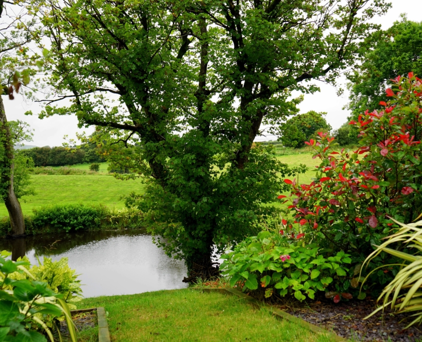 Mantenimiento de jardines en Madrid | FFR Jardinería